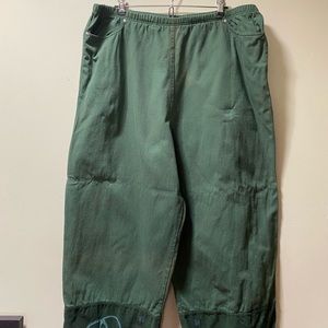 Green blue fish pants